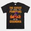 Halloween The Cutest Little Pumpkins Call Me Grandma Grandma Unisex T-Shirt